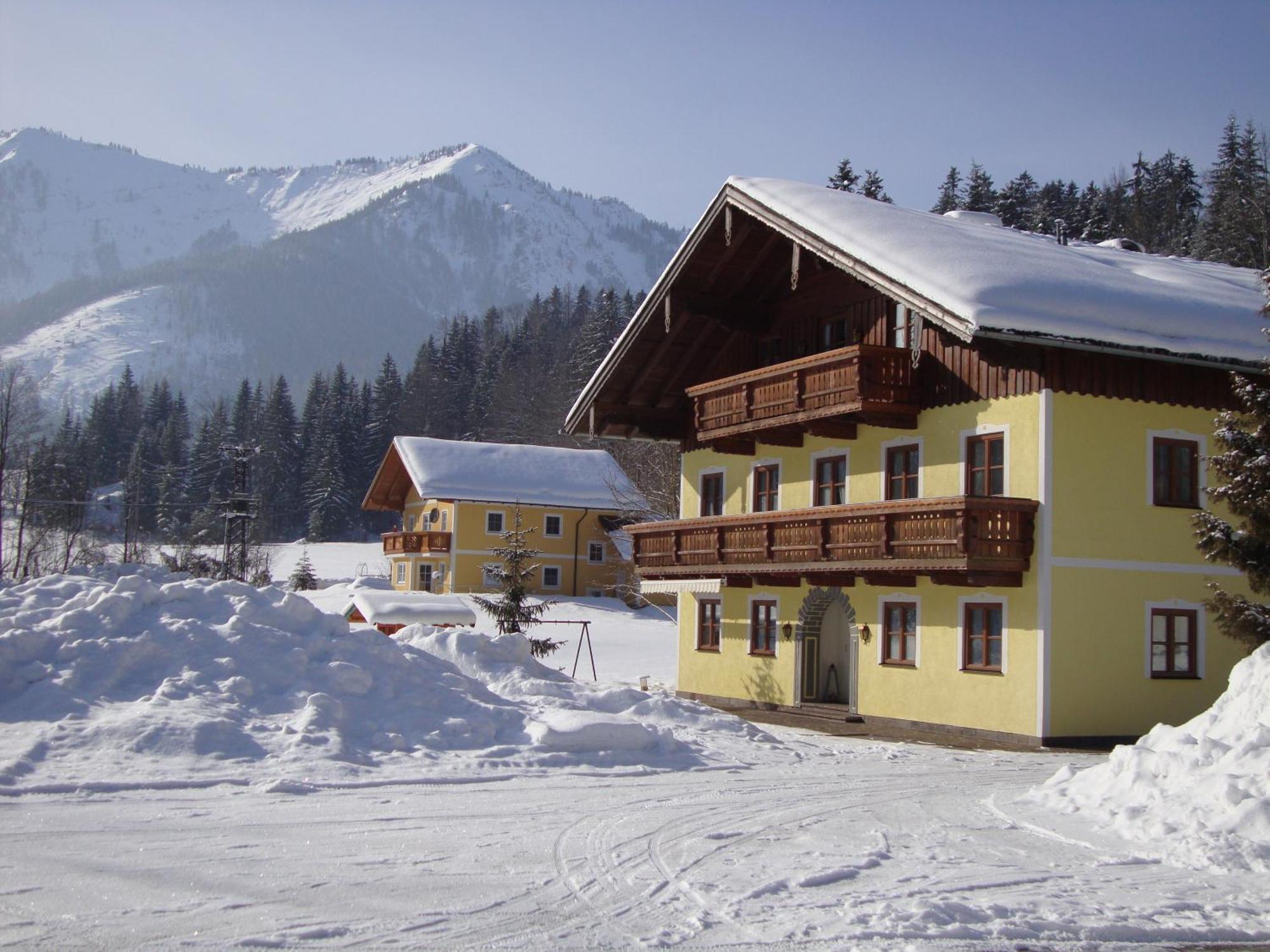 Ferienwohnung Pferdehof Almgut Faistenau Exterior foto